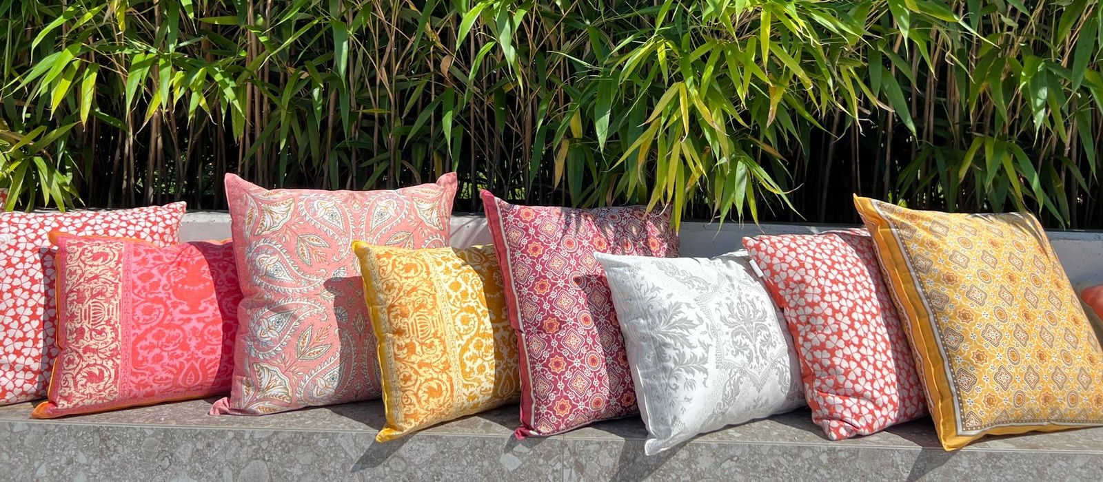 449935364_900205188813735_8564216187413469872_n